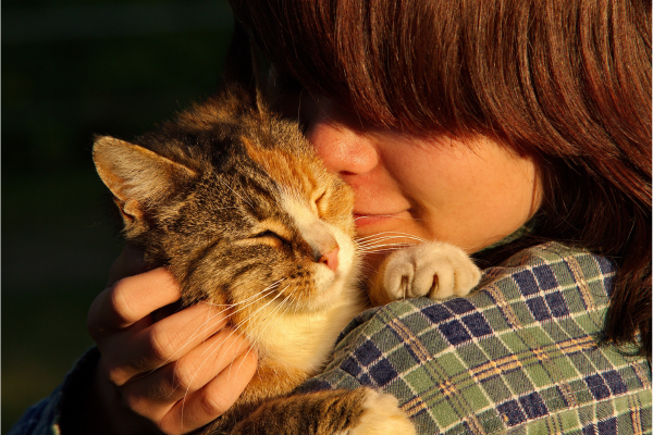 猫人間に甘えてる様子